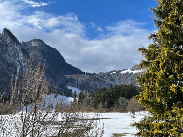 Geräumiges Domizil mit Bergblick und Sauna