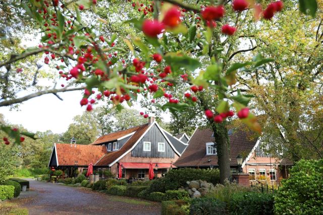 Het Ros van Twente