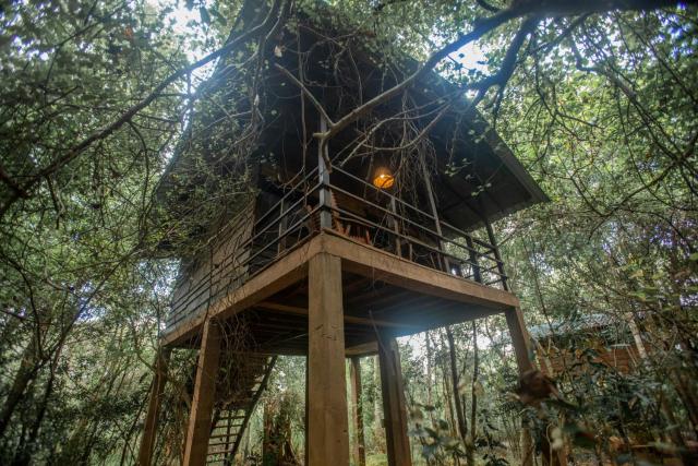 INN On The Tree Eco Resort Sigiriya