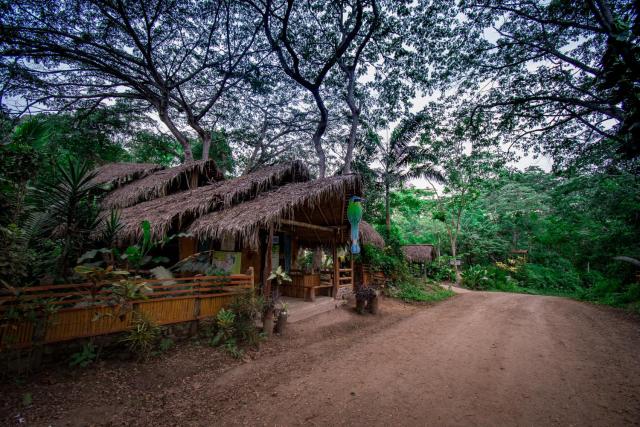 Río Muchacho Organic Farm