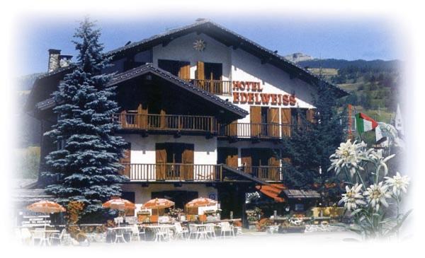 Hotel Edelweiss & SPA