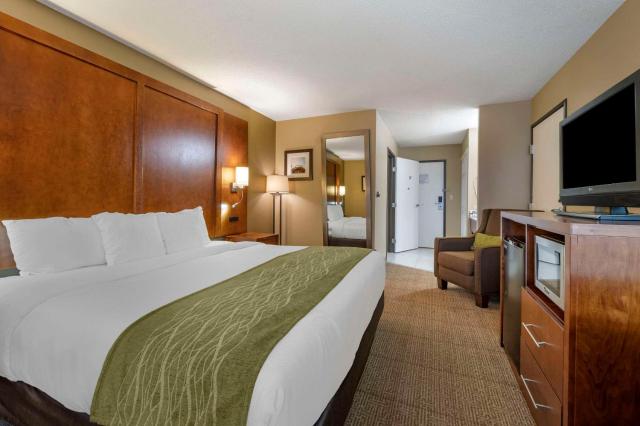 Comfort Inn Romeoville - Bolingbrook