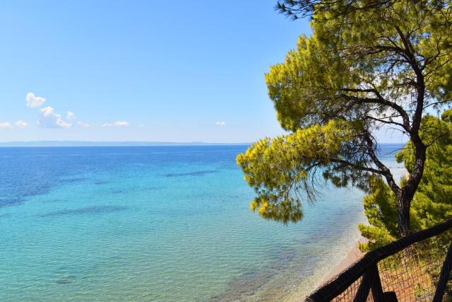 Squirrel Beach Front Villa, Metamorfosi