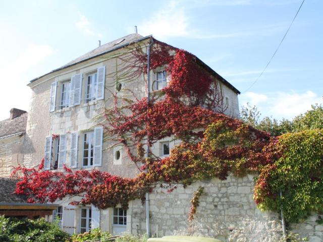 Gîte au calme avec jardin et WIFI à La Roche-Posay - FR-1-541-52