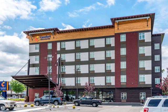 Comfort Inn & Suites Lakewood by JBLM