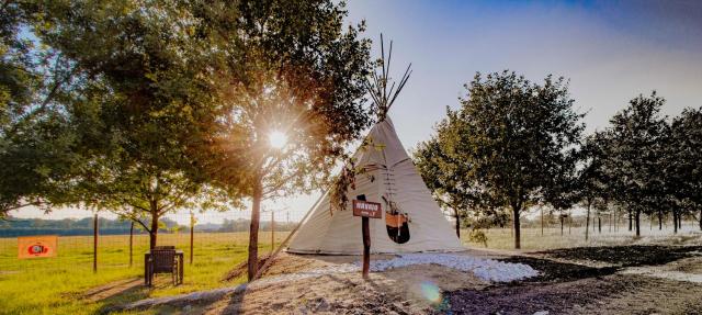 Residence Safari Resort - Teepee Village