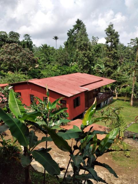 Casa modelo Colonial - Guest House Quinta Natural