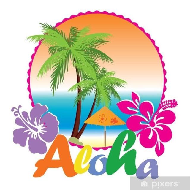 Aloha hostel