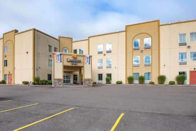 Comfort Inn Apalachin - Binghamton W Route 17