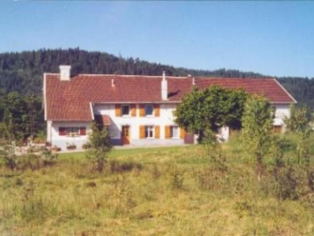 Gîte paisible avec terrasse et WIFI, proche de Gérardmer - 2 chambres, animaux acceptés - FR-1-589-216