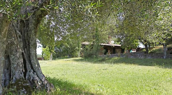 Agriturismo Sommavilla