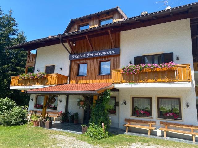 Hotel Friedemann