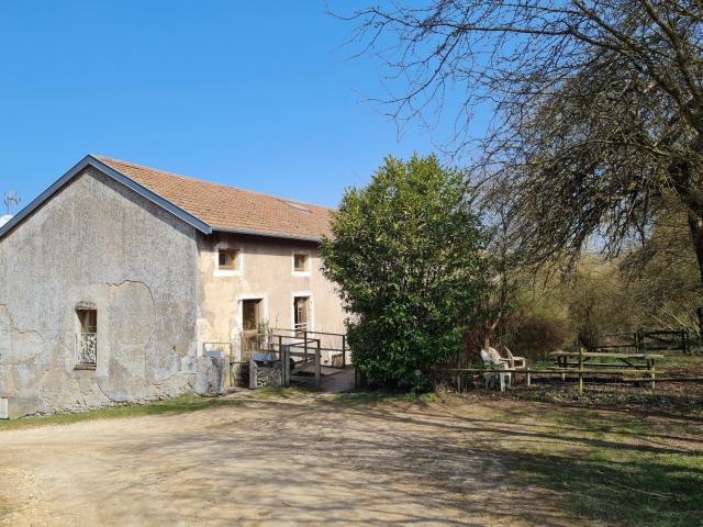 Gîte chaleureux au bord d'un ruisseau avec grand jardin, proche Metz et Nancy - FR-1-584-64