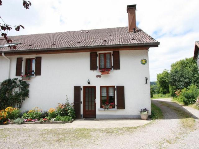 Gîte spacieux et confortable au Val d'Ajol, à proximité de Plombières-les-Bains, animaux de ferme ! - FR-1-589-139