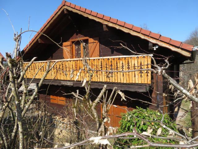 Chalet spacieux près de Gérardmer avec terrasse, verger et activités montagne - FR-1-589-121