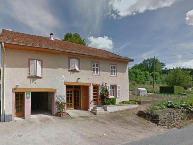 Gîte spacieux avec terrasse et cheminée près de Saint-Dié, à 28 km de Gérardmer - FR-1-589-261