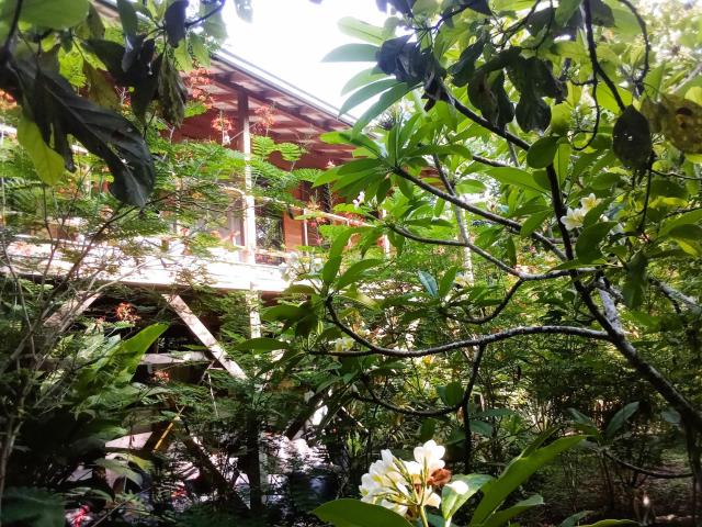 Sanpopo Tree Top Cottage - A Gold Standard Tourism Approved Vacation Home