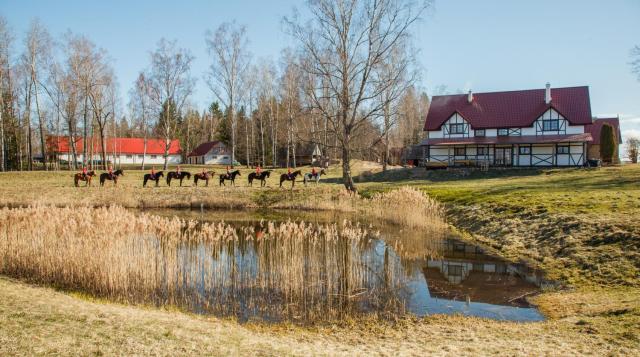 Zirgu sēta "Klajumi" - Horse ranch "Klajumi"