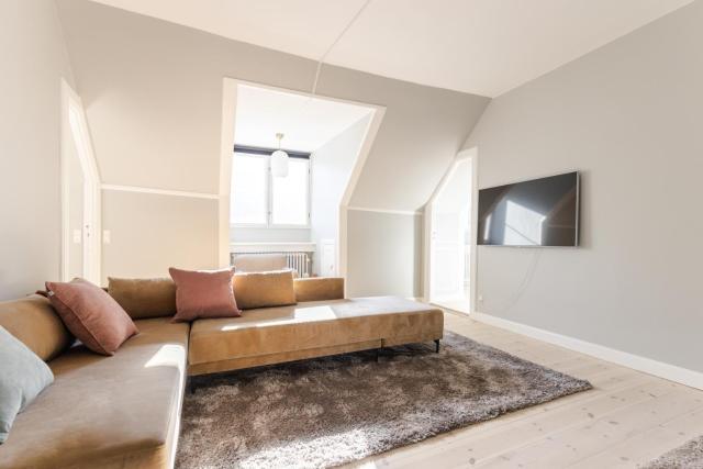 Luxury Apartment w Privat Rooftop Terrace - CPH C