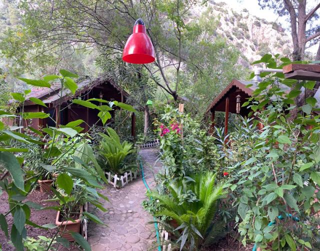 Canario Bungalows