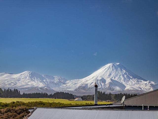 Adventure Seekers Lodge - National Park Retreat