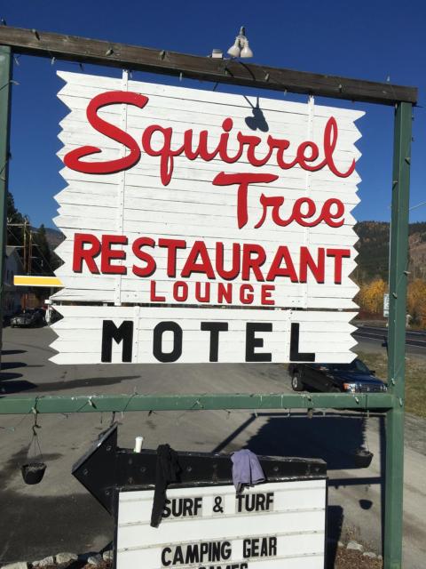 Squirrel Tree Resort