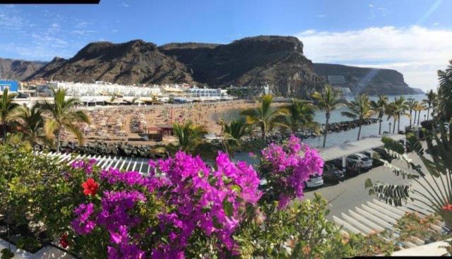 Harbour 374 with private roof terrace in Puerto de Mogan