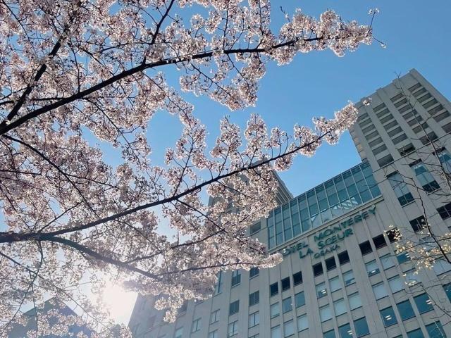 Hotel Monterey La Soeur Osaka