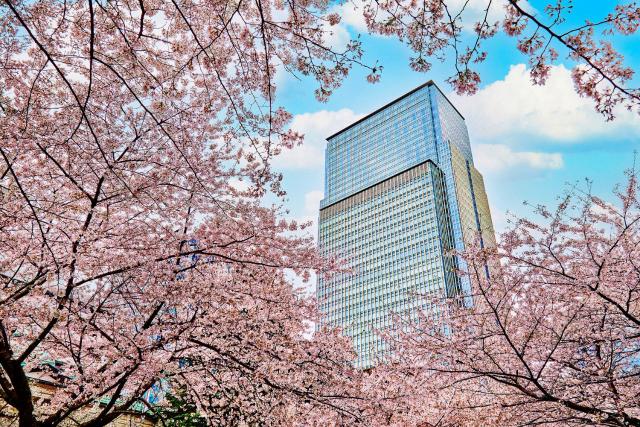 Mandarin Oriental, Tokyo