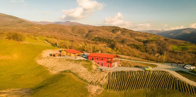 Azienda Agricola Saint Hubert