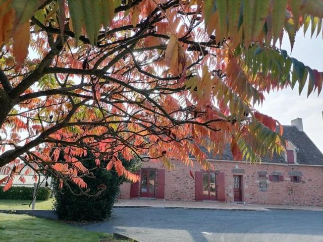 Gîte en campagne rénové avec cheminée, grands jardins, WiFi, près d'un village médiéval. - FR-1-410-334