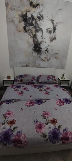 Apartman Jasna,