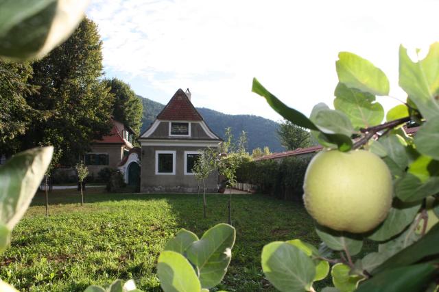 Bioweingut Schmidl Rosenstöckel