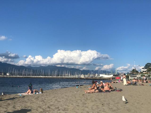 heart of Kitsilano area,5 mins walk to kits beach,no share with other people stay