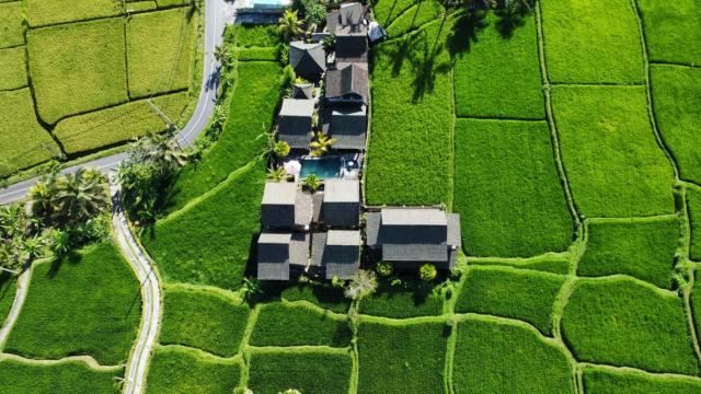 Ananda JJ Ubud Resort & Spa