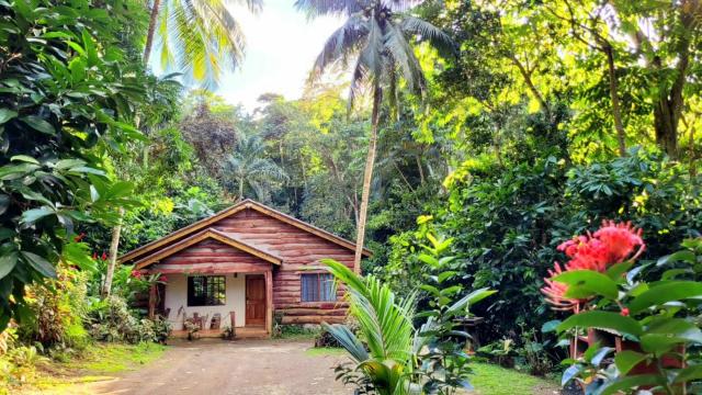 Ecoscape Jamaica - Cottages by the river