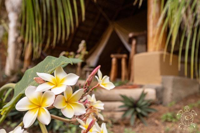 Casa La Aventura Guasacate - Popoyo