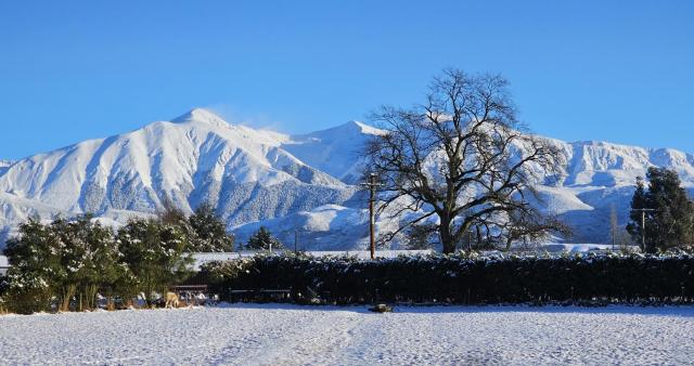 Bahara Accommodation