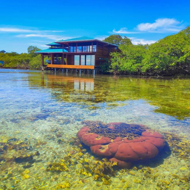 Bahia Coral Lodge