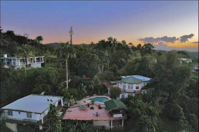 Pancho's Paradise - Rainforest Guesthouse with Pool, Gazebo and View