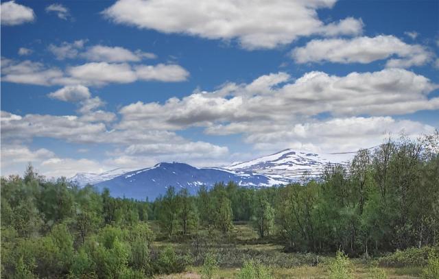 Gorgeous Home In Tärnaby With Wifi