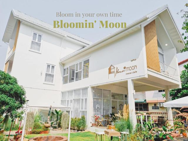 Bloomin' Moon hostel & cafe, Chiang Mai Old Town