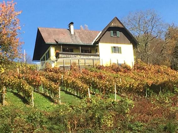 Malerisches Weingartenhäuschen in Kitzeck