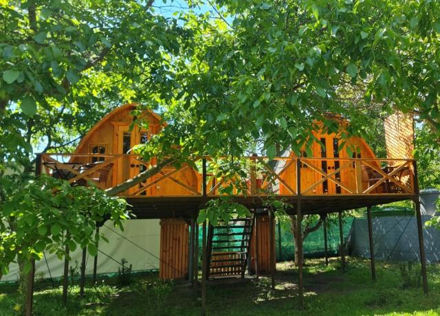 Cabañas Peñaflor Glamping