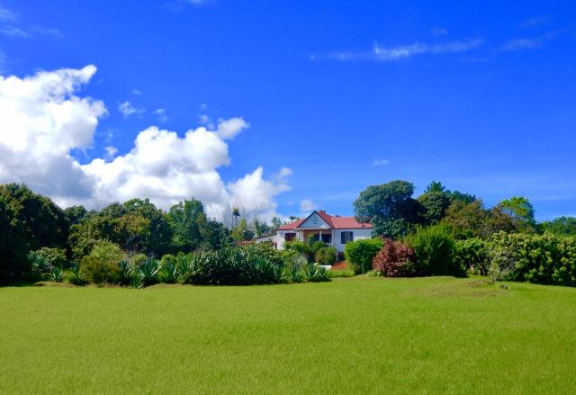 The Litchi Tree Amber Mountain Boutique Hotel