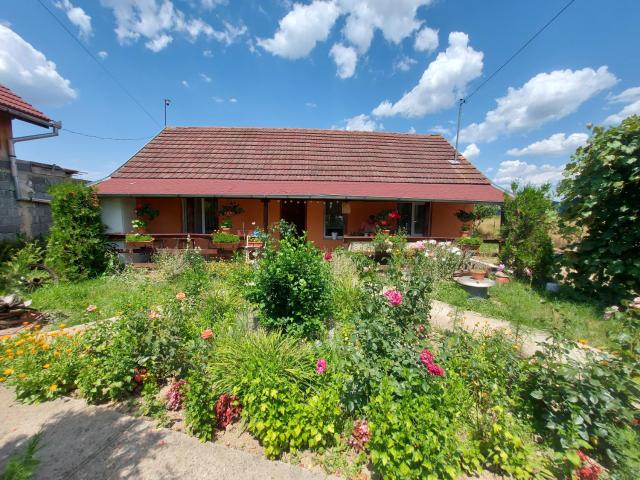 Casa de vacanta in Tara Fagarasului