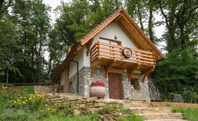 Holiday home in Novo Mesto - Dolenjska Bela krajina Unter- Weißkrain 35158