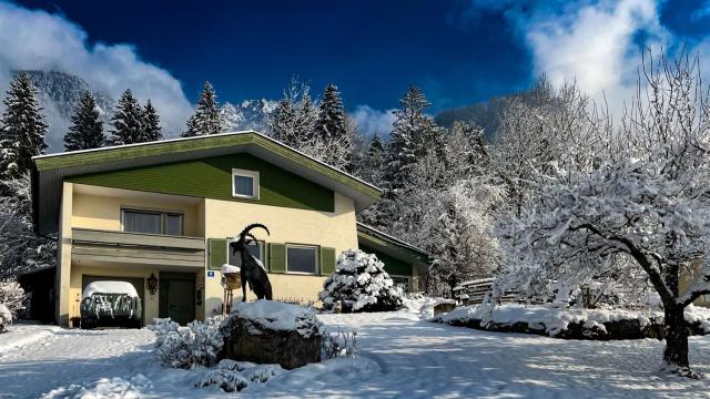 Waldchalet Steinbock