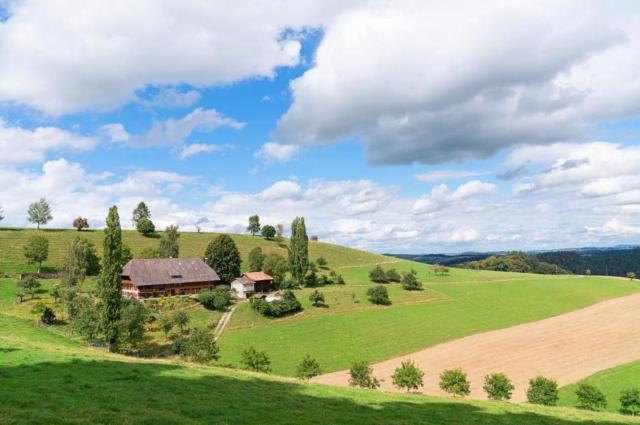 AUSZEIT auf dem BAUERNHOF Heimelige Ferienwohnung für bis zu 4 Personen im Emmental E-Bike Paradies Wandern Erholen