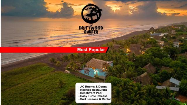 The Driftwood Surfer Beachfront Hostel / Restaurant / Bar, El Paredon